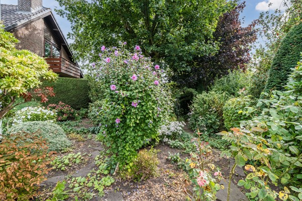 Medium property photo - Noordeinde 91, 2742 AB Waddinxveen